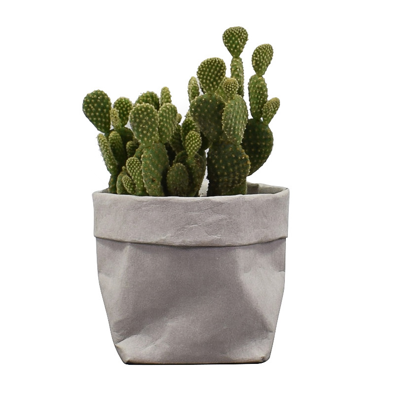 Bolsa de papel reciclada, cest - Kitchen Living Baking Mats reseña y precio